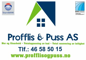 Profflis & Puss AS