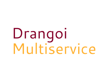 Drangoi multiservice high resolution logo 2 Drangoi multiservice high resolution logo 2