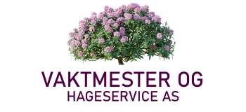 Cropped 2230 scaled 1