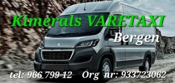 Kimerals Varetaxi