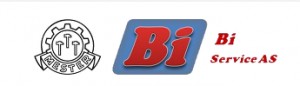 Bi Service As