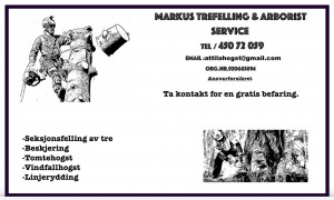 Markus Trefelling & Arborist Service
