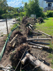 8b326eb943be23546ff47ae36600f4e1logo 8b326eb943be23546ff47ae36600f4e1logo