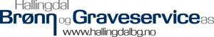 Hallingdal Brønn Og Graveservice AS