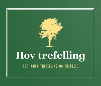 Hov Trefelling Og Trepleie