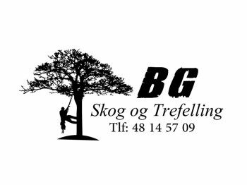 Bg Skog Og Trefelling AS
