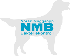 NMB logo(cyan)
