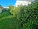 20250502 074921 Fjerne 30 meter berberis hekk