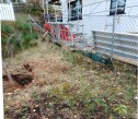 IMG 20250418 192331450 Plante 10 m tuja hekk