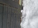 20250122 101657 Reparasjon av fiberkabel