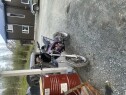 IMG 5576 Moped
