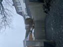 Garasje Bygging av garasjetak