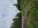 20250608 083455 "Snekkere" ønskes til hjelp Sette opp carport