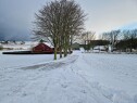 20250103 113628 Snørydding
