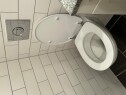 IMG 8247 Toalett som renner