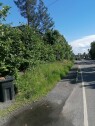 IMG 20250628 163622 Fjerning av stubber og treklyngerøtter