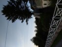 17508831046321524988034798836495 Trefelling,graving og planering i hage/tomt