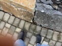 IMG 2360 4 -5 spotter i belegningsstein i innkjørsel