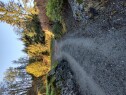 IMG 20251017 095527519 HDR Legge asfalt i oppkjørsel