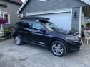 IMG 2986 Lakkering hel bilside Skoda Kodiaq