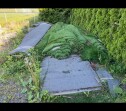 IMG 0664 Frakte kunstgress