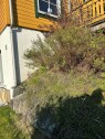 Processed 8B39FE81 E49B 4A3C 910B 97E35FAC5A0C Utvide en eksisterende terrasse