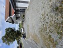 20250820 145156 Asfaltere innkjørsel