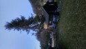 20250424 214545 Trefelling