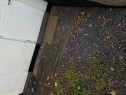 IMG 2243 Ønsker tilbud !Bytte ut ytterdør og lage ny trapp ( 2 trinn )