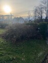 Kvist2 Bortkjøring av kvister