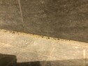 Bytte silikonfuge på badet (dusj). Oslo, Haugenstua
