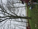 20241201 103105 Kappe ned stor ask