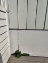 1698848380021 Fylle sprekk i grunnmur med ekspanderende betong