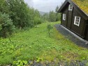 20250817 150102 Anneks til hytte u/ 50m2.