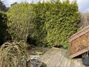 Image Sette opp levegg mellom 2 husstander