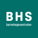 BSH logo SM gronn bakgrunn Regnskapsfører til fastpris