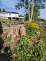 17545492984095010394501107403925 Fresing av stubbe