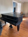 IMG 9886 Hente flygel piano og frakte i leilighet