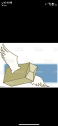 IMG 9910 Skape logo